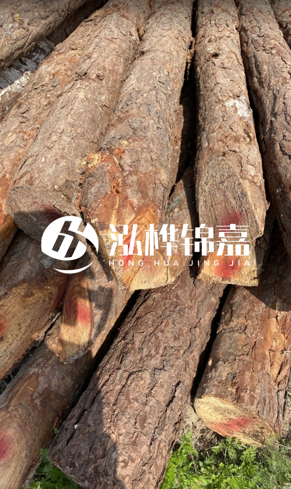 <strong>松木樁和杉木樁的用途區(qū)別？哪個更適合打樁用？</strong>