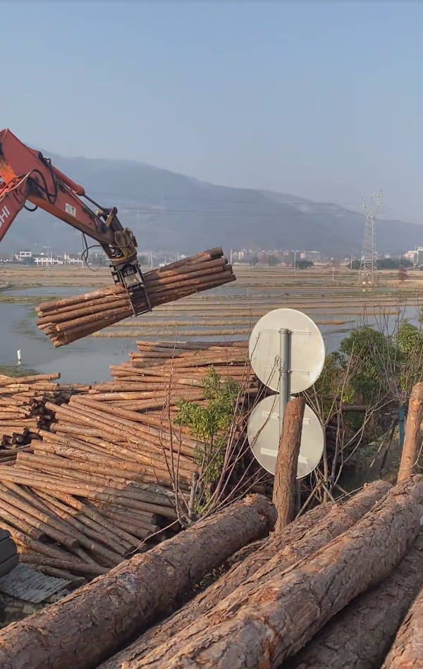深圳松木樁施工專家-平原松木樁施工優勢？