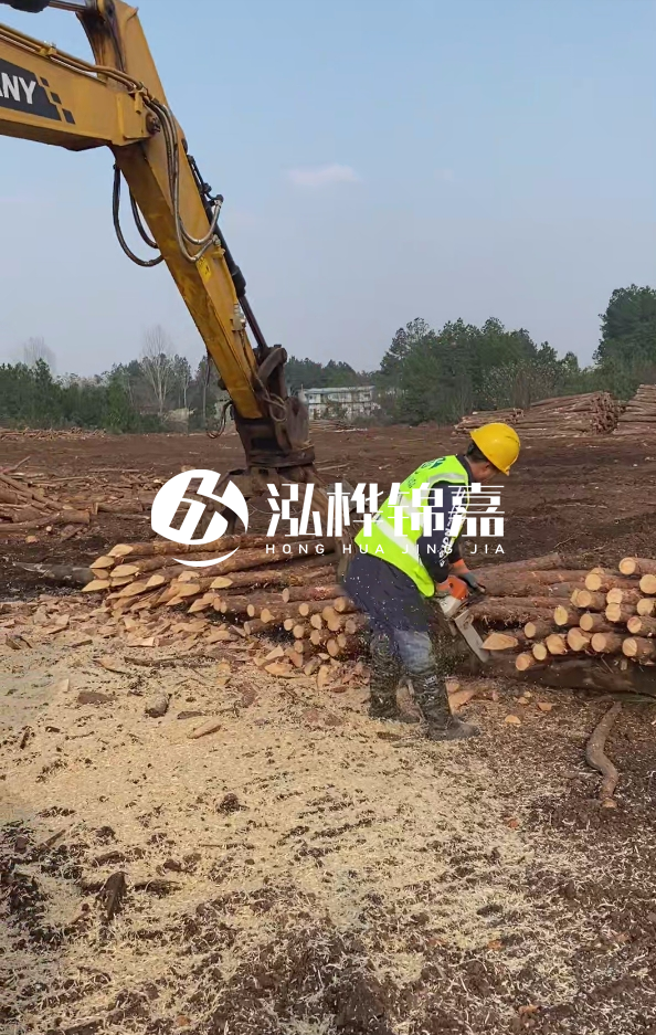 銅陵挖機打木樁專業施工-打松木樁一般算米還是算根？