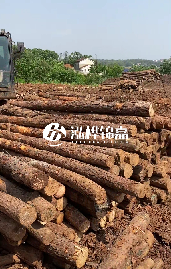 荊州挖機打木樁專業施工-河道打樁木被水浸泡后會不會變形嚴重？