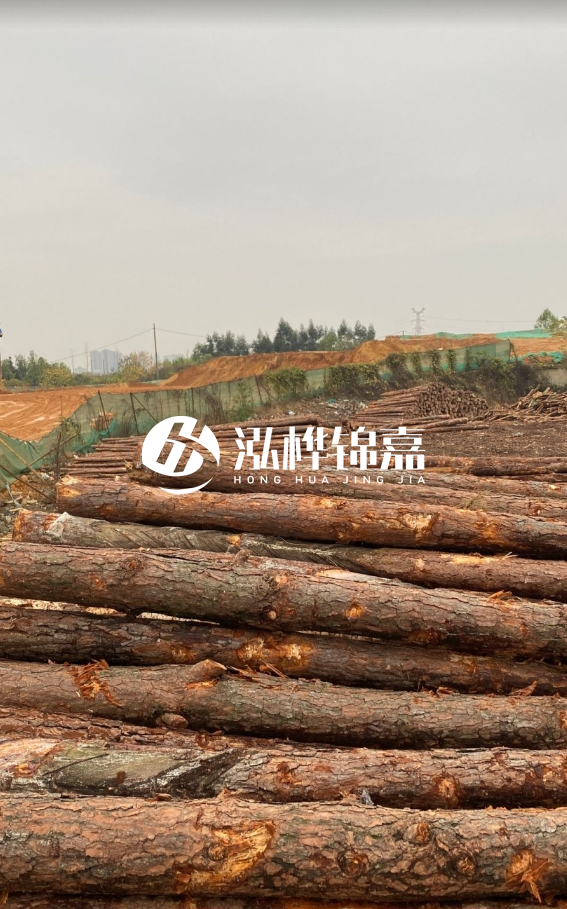 攀枝花松木樁源頭廠家-河道松木樁廠家聯系方式？