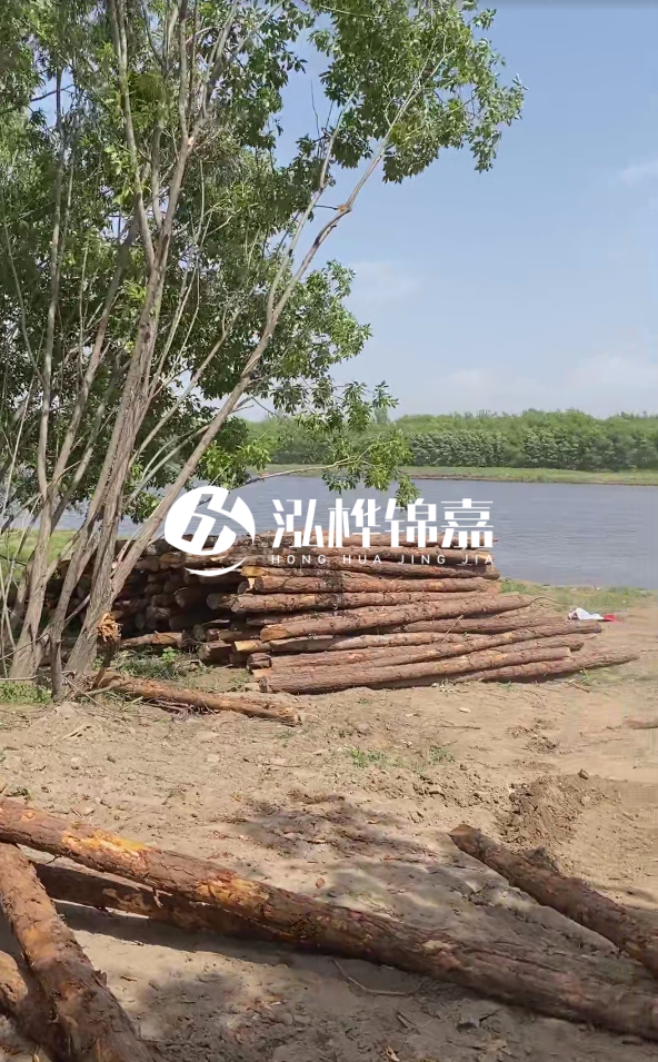 慶陽挖機打木樁專業施工-松木打樁過程中如何避免木材開裂？