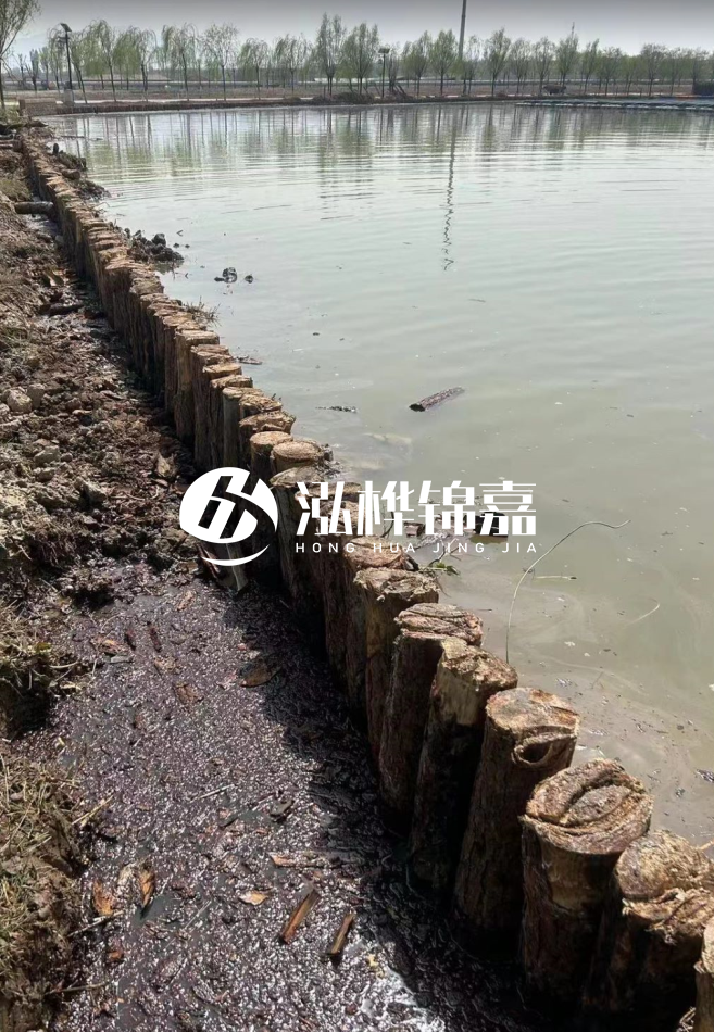 松木樁為什么要一根一根挨著打？秘密在這里！看完恍然大悟！