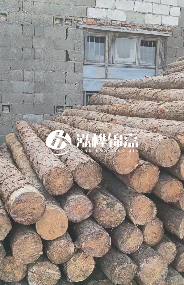 3米松木樁多少錢一根？14公分松木樁價格是多少？