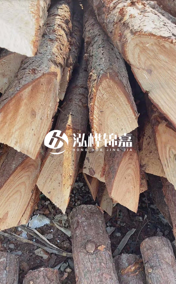 3米杉木樁梢頭12大頭多少？賣多少錢一根？