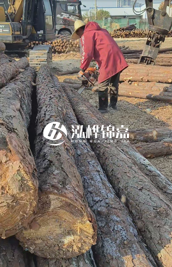 長沙打樁木批發(fā)廠家在哪里？聯(lián)系方式是什么？