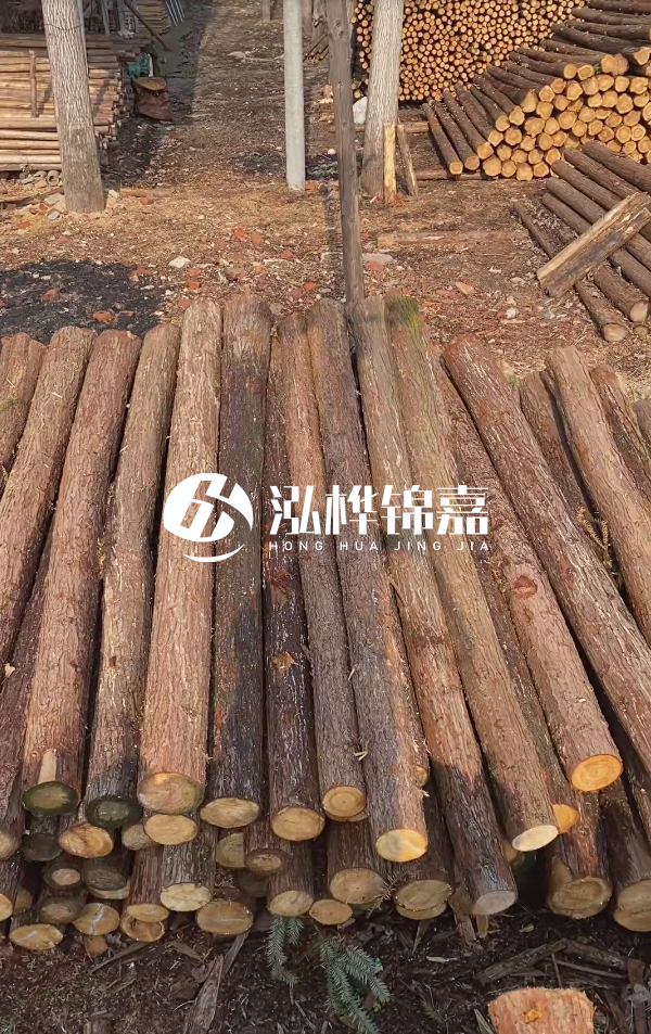 河道護(hù)坡選松木樁還是杉木樁？河道木樁一根多少錢？