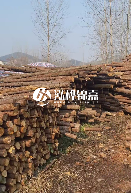 打杉木樁多少錢一根-一天能打多少根？