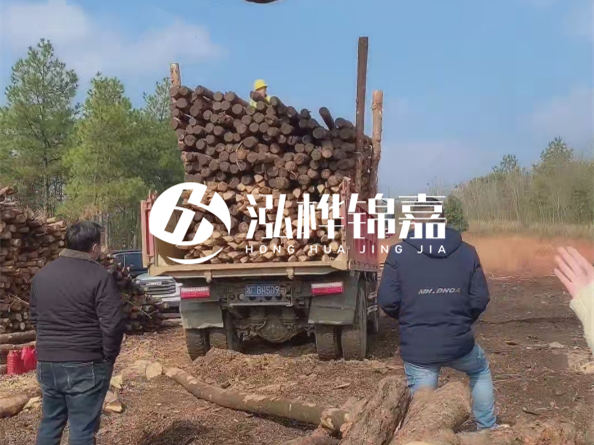 松木樁價格是按米算還是按根算？6米松木樁批發價每根多少錢？