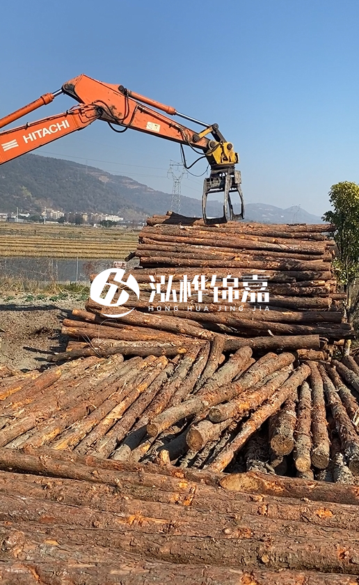 帶皮松木樁的防腐效果如何？和不帶皮松木樁價格差異有多大？