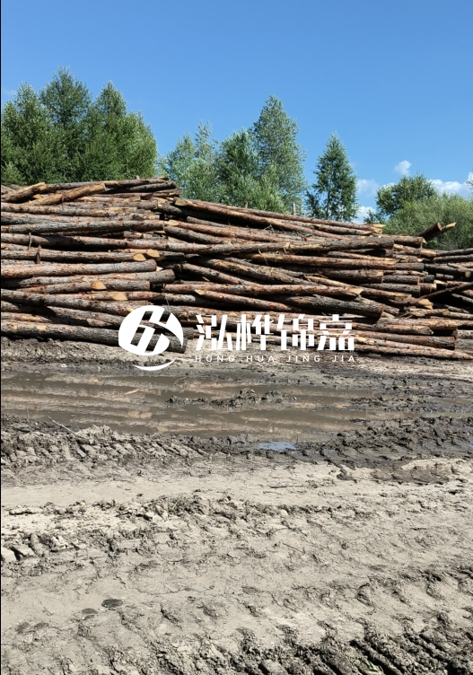 3米松木樁適合河道護坡嗎？小頭直徑8厘米的松木樁價格如何？