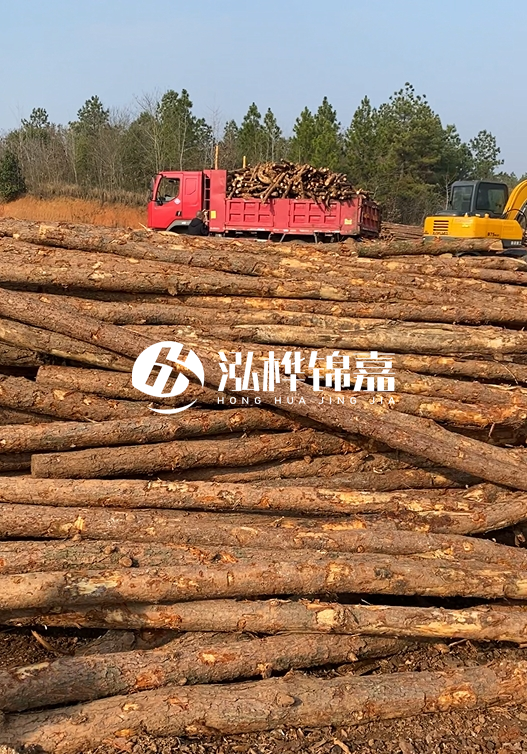 8米小頭11-13CM的松木樁價格是多少？打樁施工怎么算？