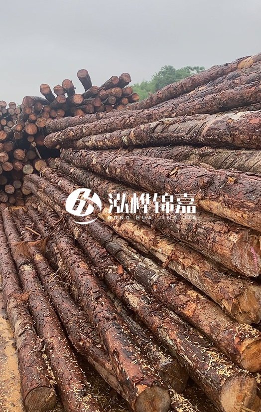 購買松木樁注意事項有哪些-不同直徑松木樁區別有哪些？