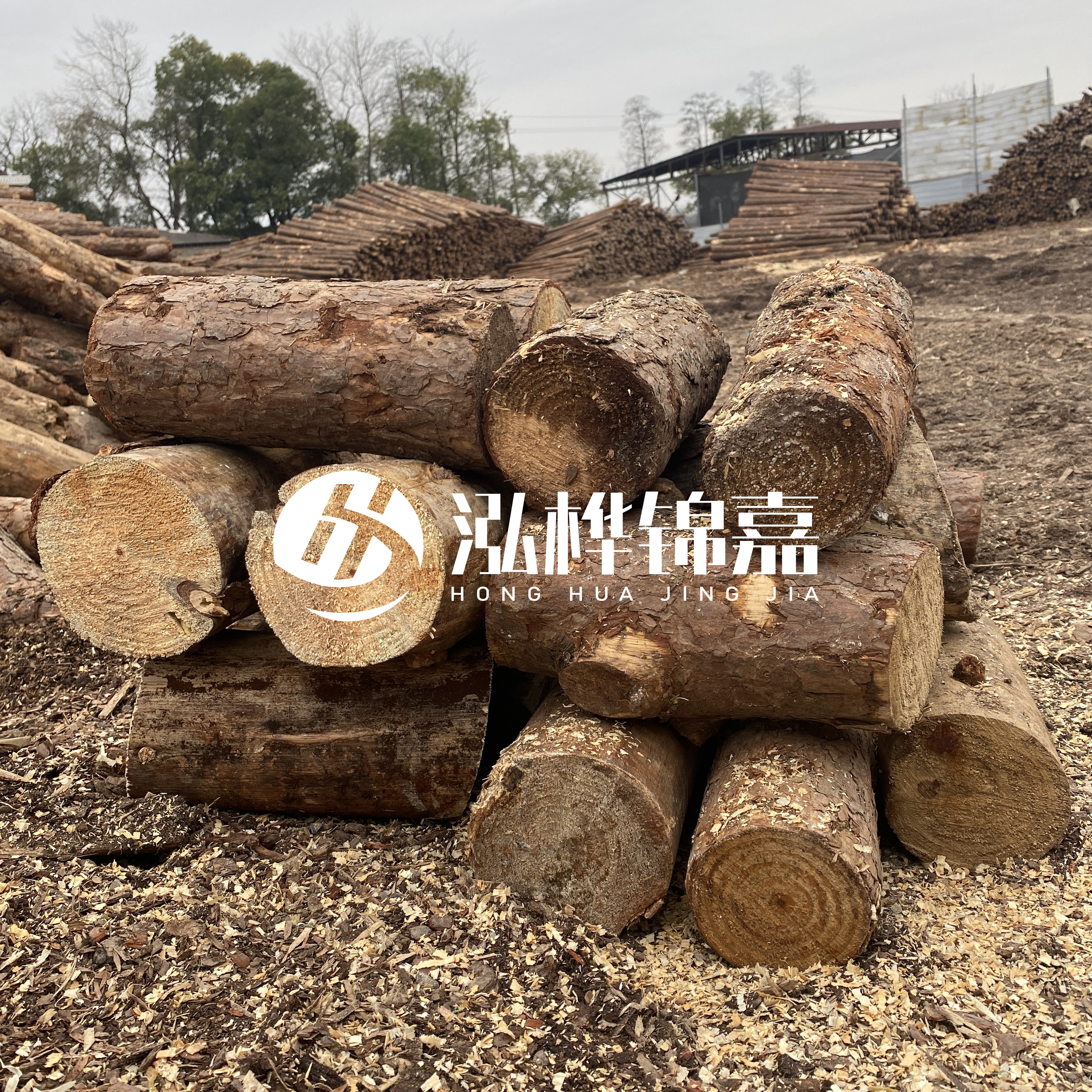 打樁木邊角料能做什么用途？怎么賣的？