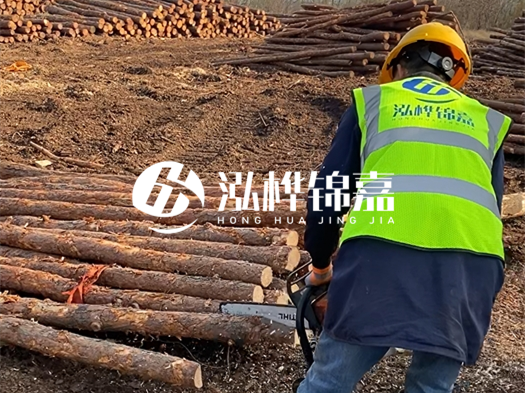 哪些木樁廠家能提供快速定制服務(wù)？哪些木樁廠家在國內(nèi)有多個(gè)生產(chǎn)基地？