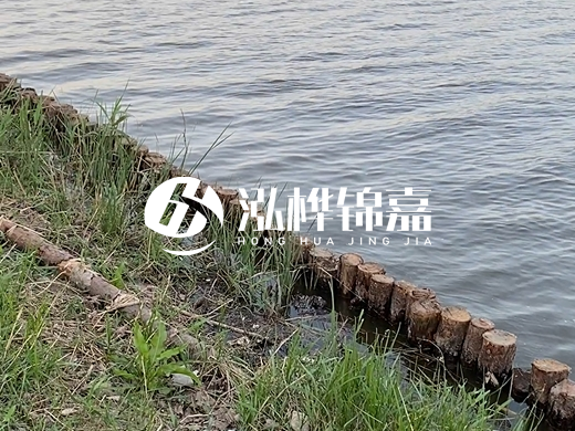 防洪松木樁施工重要性？河道打木樁的位置怎么確定？