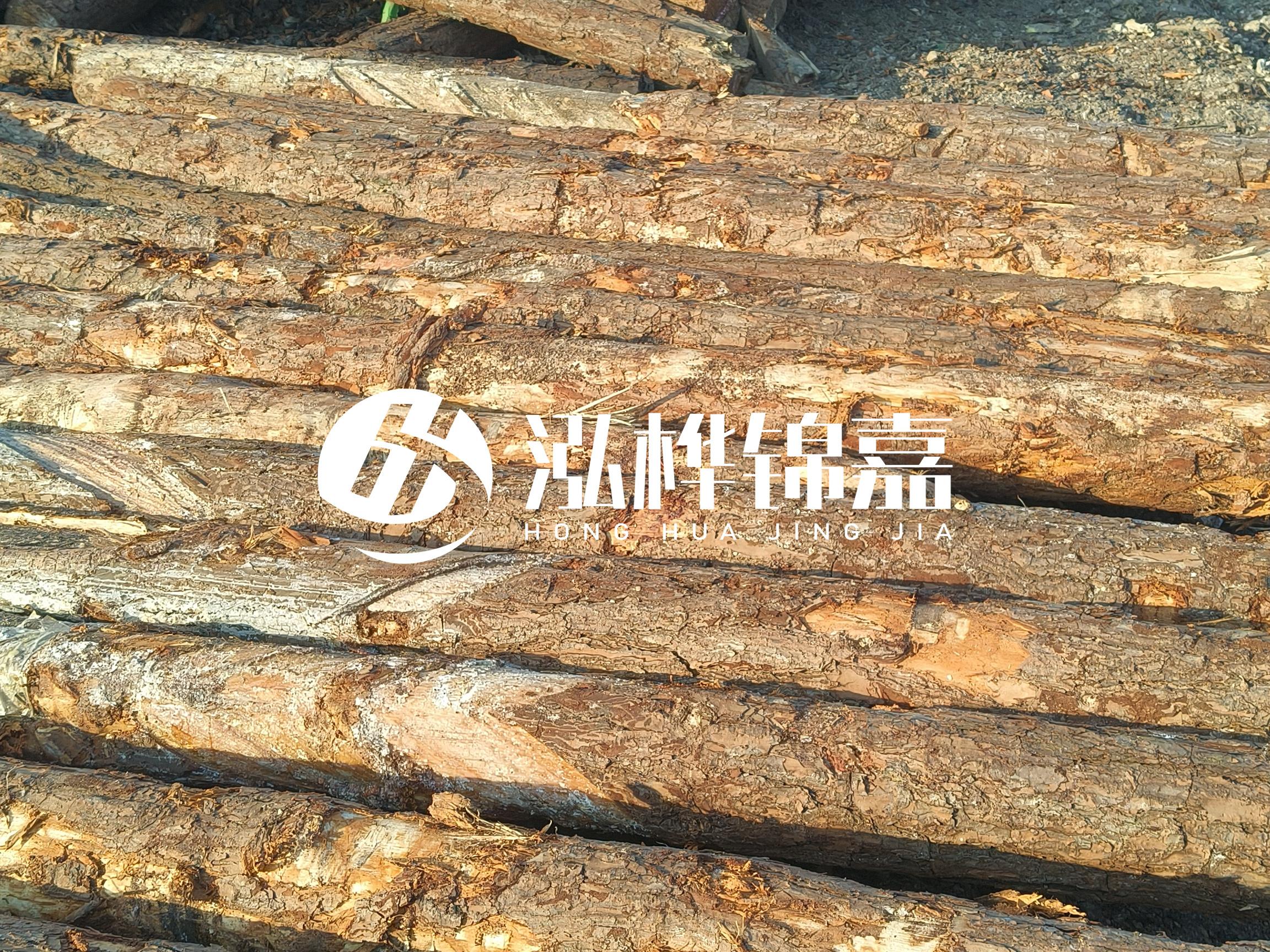 河道木樁的含水率過高會有什么問題？怎么檢查松木樁含水率？