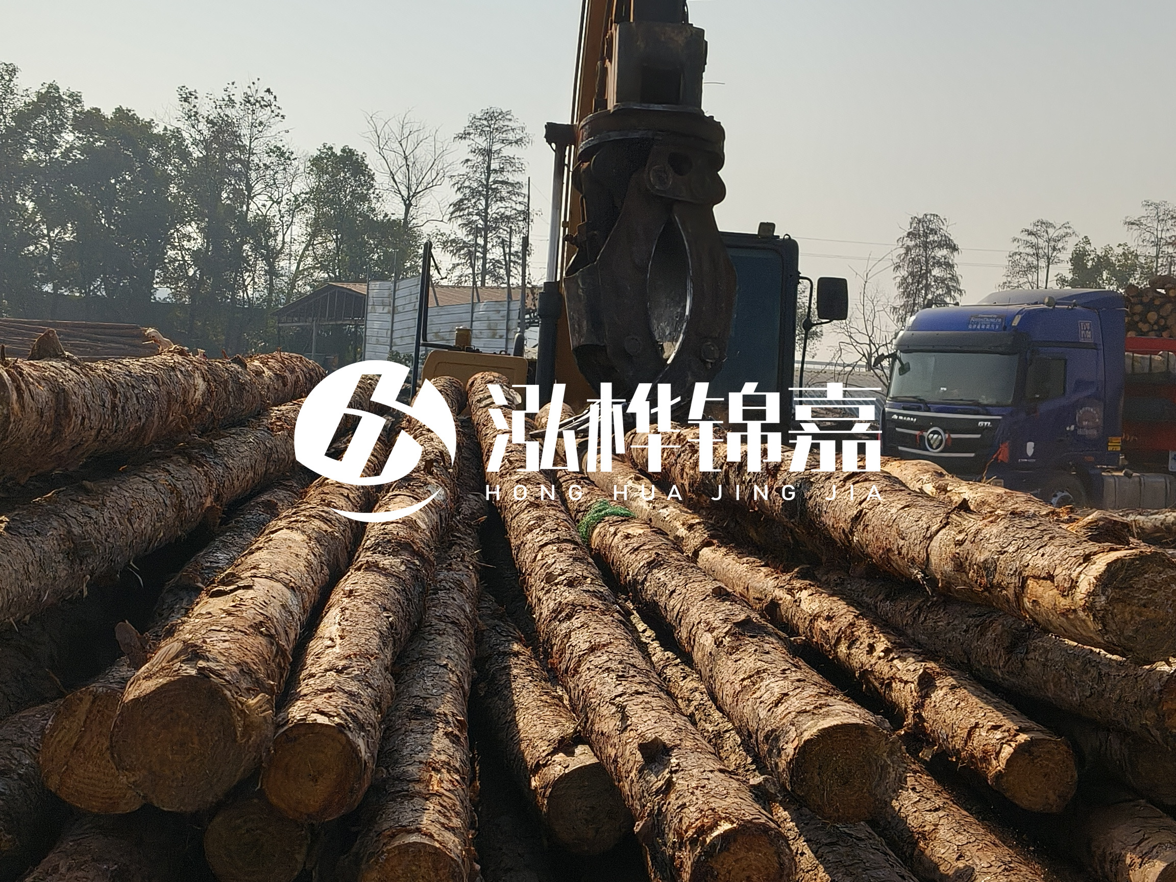 松木樁可以用來做什么？常用于哪些工程？