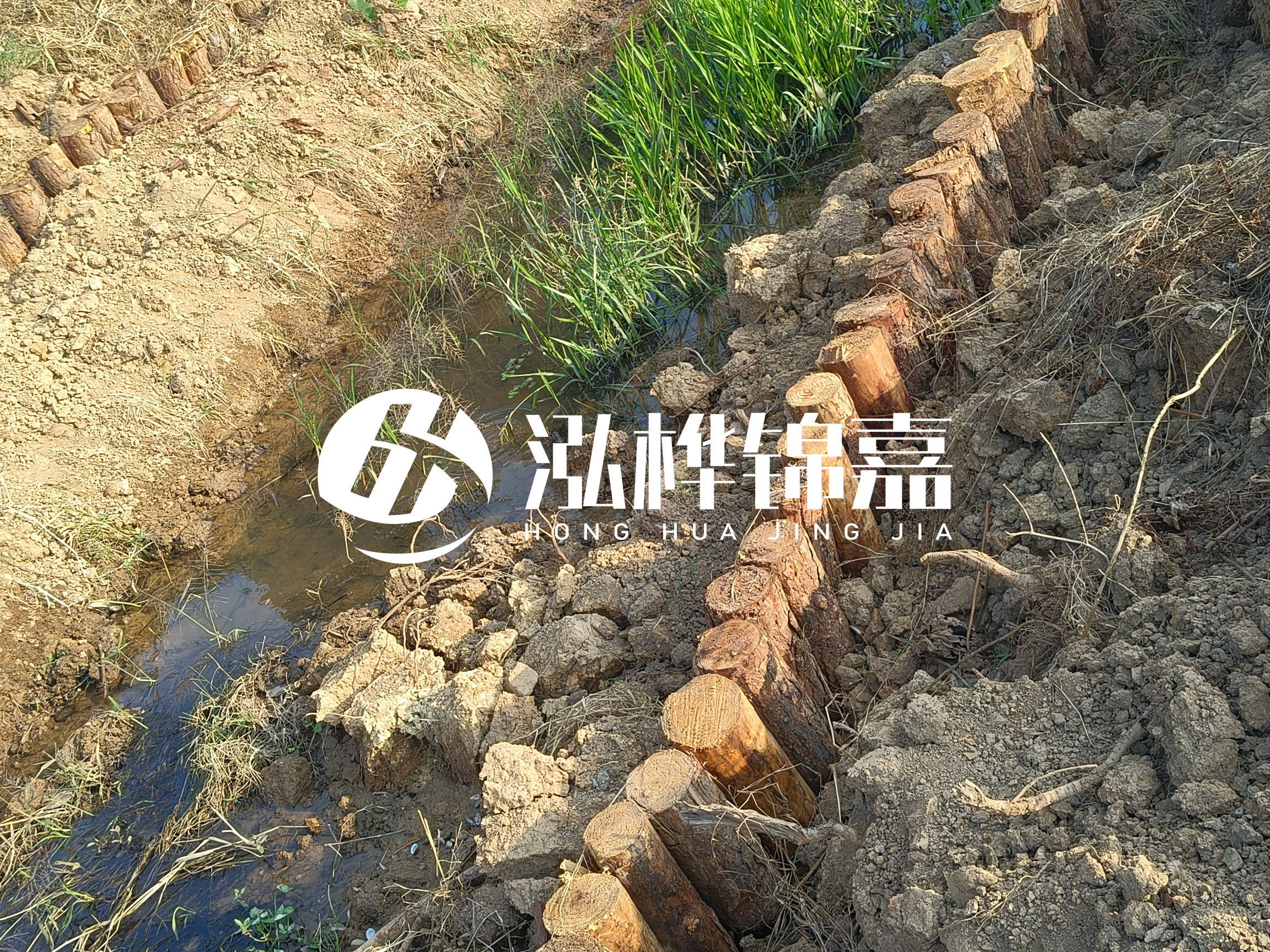 松木樁批發廠家泓樺錦嘉-樁間距指的是什么間距？