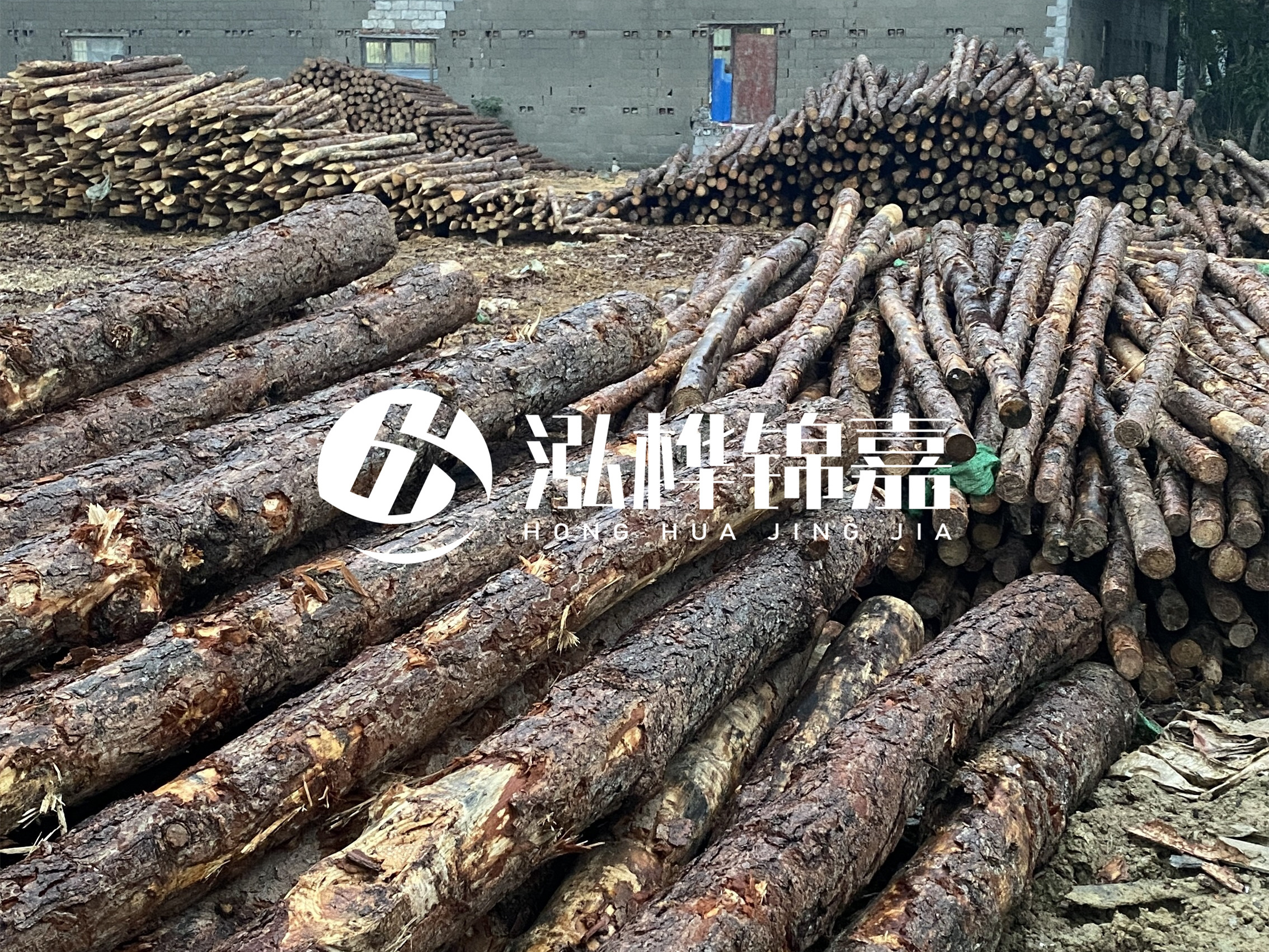 松木樁批發廠家泓樺錦嘉 - 河道松木樁如何選擇優質木材？